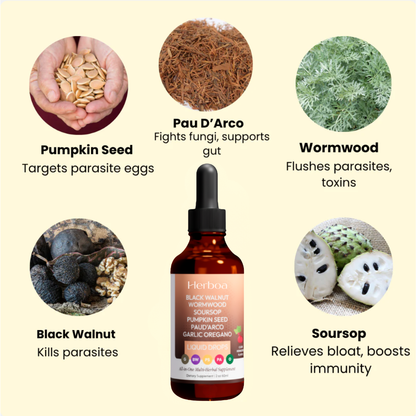 Wormwood Black Walnut Parasite Detox